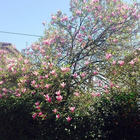 La Magnolia Apartment Riccò del Golfo di Spezia Exterior foto