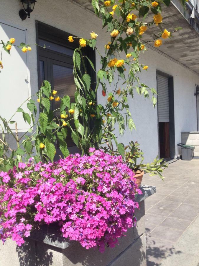 La Magnolia Apartment Riccò del Golfo di Spezia Exterior foto