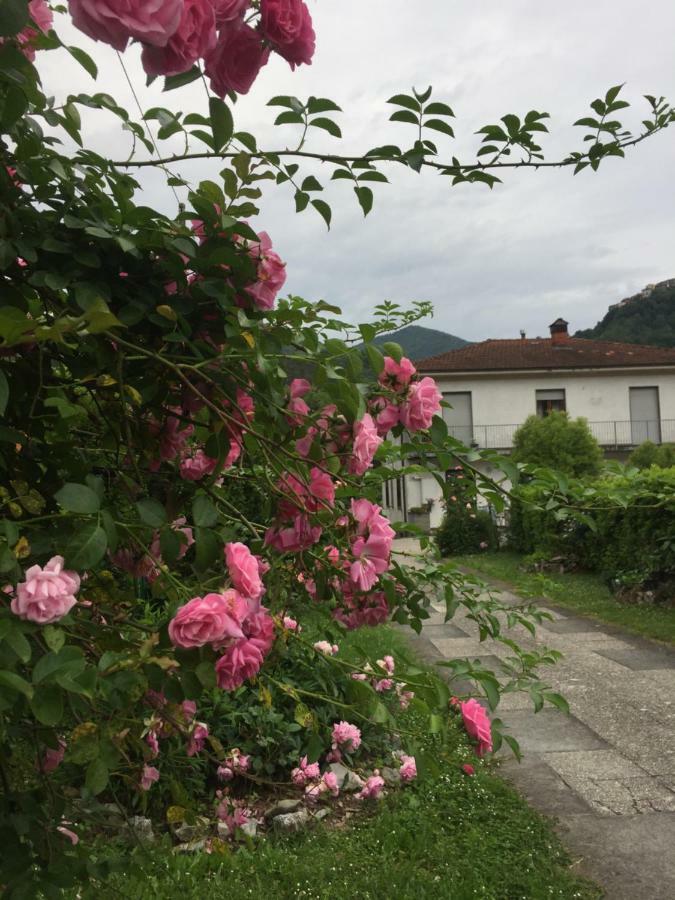 La Magnolia Apartment Riccò del Golfo di Spezia Exterior foto