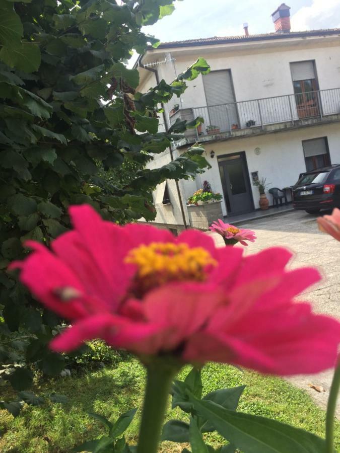 La Magnolia Apartment Riccò del Golfo di Spezia Exterior foto
